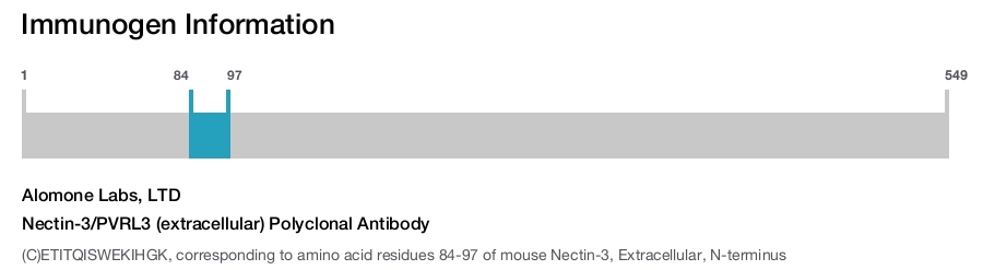 Nectin-3/PVRL3 (extracellular) Polyclonal Antibody
