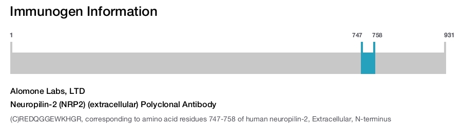 Neuropilin-2 (NRP2) (extracellular) Polyclonal Antibody