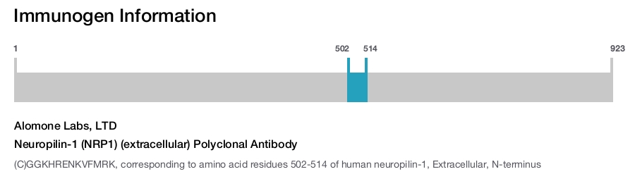 Neuropilin-1 (NRP1) (extracellular) Polyclonal Antibody