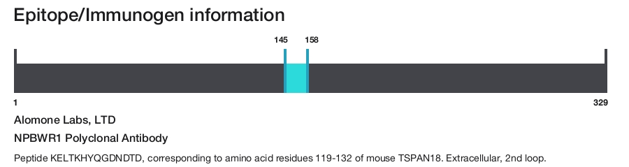 NPBWR1 Polyclonal Antibody