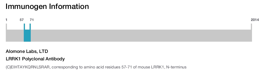 LRRK1 Polyclonal Antibody