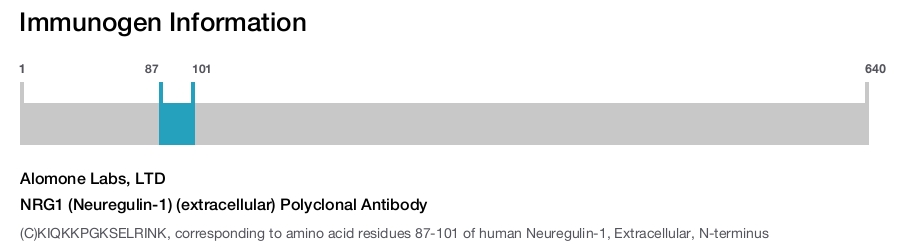 NRG1 (Neuregulin-1) (extracellular) Polyclonal Antibody