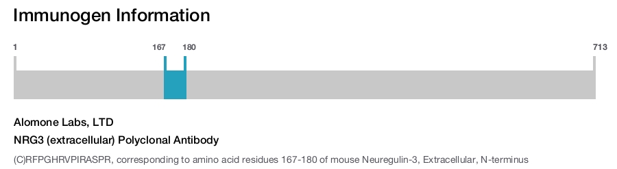NRG3 (extracellular) Polyclonal Antibody