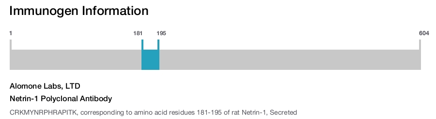 Netrin-1 Polyclonal Antibody