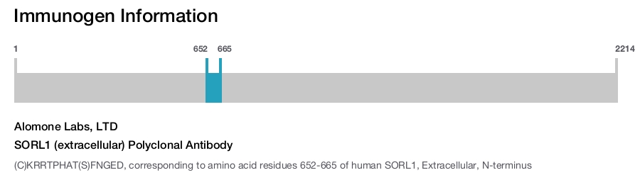 SORL1 (extracellular) Polyclonal Antibody