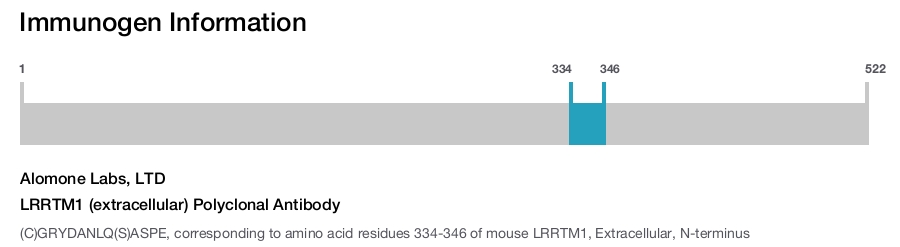 LRRTM1 (extracellular) Polyclonal Antibody