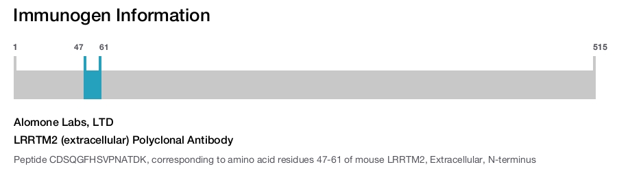 LRRTM2 (extracellular) Polyclonal Antibody