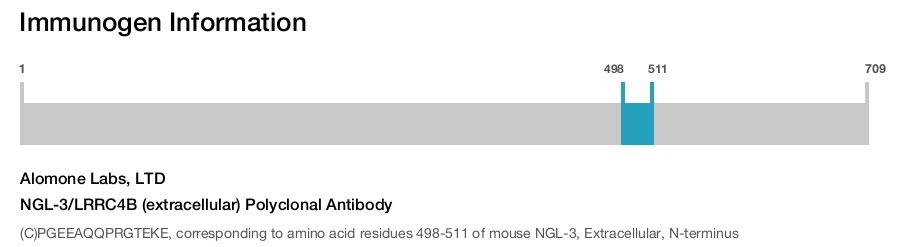 NGL-3/LRRC4B (extracellular) Polyclonal Antibody