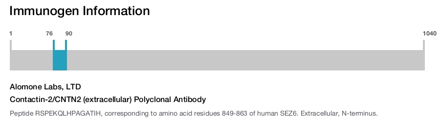 Contactin-2/CNTN2 (extracellular) Polyclonal Antibody
