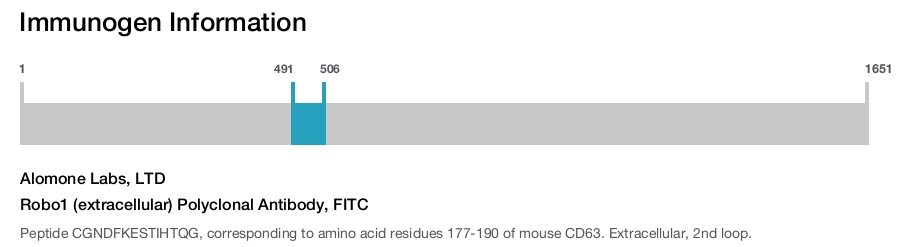 Robo1 (extracellular) Polyclonal Antibody, FITC