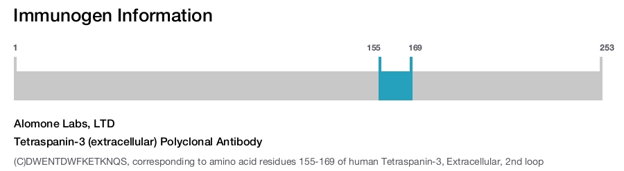 Tetraspanin-3 (extracellular) Polyclonal Antibody
