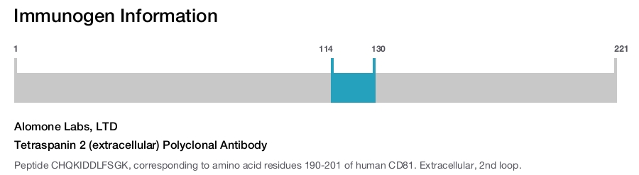 Tetraspanin 2 (extracellular) Polyclonal Antibody