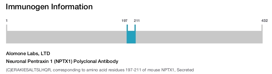 Neuronal Pentraxin 1 (NPTX1) Polyclonal Antibody