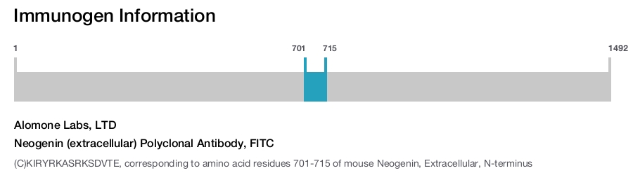 Neogenin (extracellular) Polyclonal Antibody, FITC