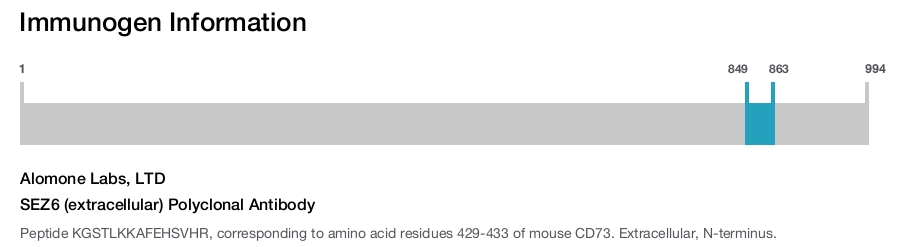 SEZ6 (extracellular) Polyclonal Antibody
