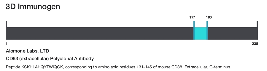 CD63 (extracellular) Polyclonal Antibody