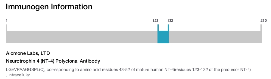Neurotrophin 4 (NT-4) Polyclonal Antibody