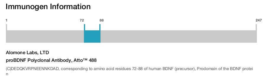 proBDNF Polyclonal Antibody, Atto™ 488