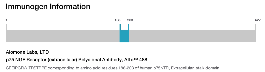 p75 NGF Receptor (extracellular) Polyclonal Antibody, Atto™ 488