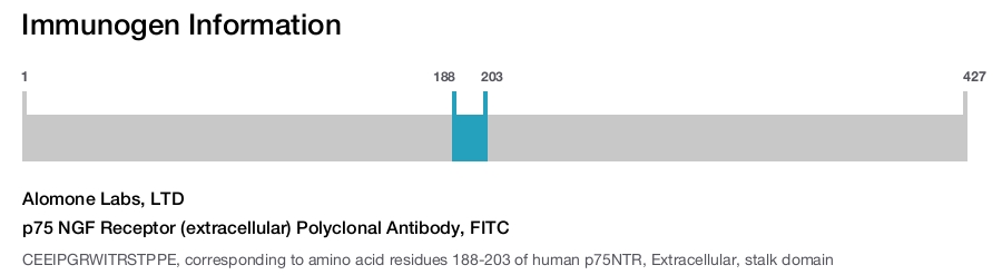 p75 NGF Receptor (extracellular) Polyclonal Antibody, FITC