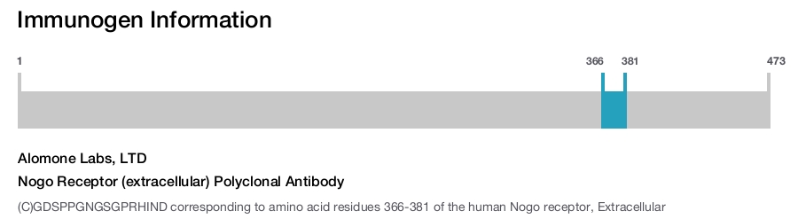 Nogo Receptor (extracellular) Polyclonal Antibody