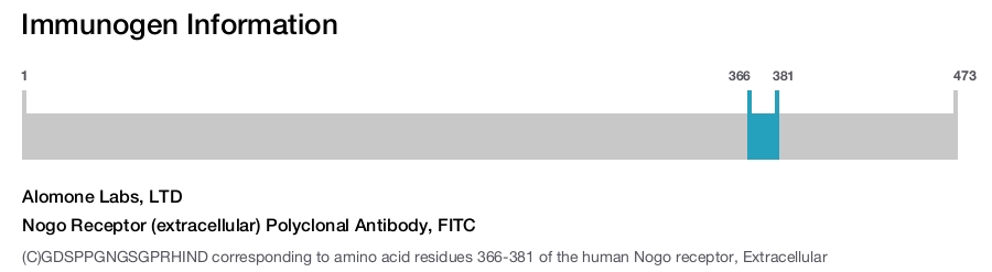 Nogo Receptor (extracellular) Polyclonal Antibody, FITC