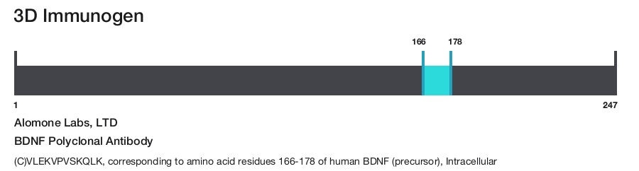BDNF Polyclonal Antibody