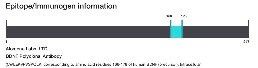 BDNF Polyclonal Antibody