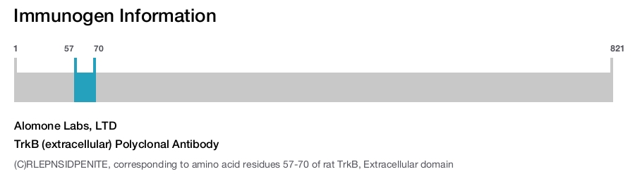 TrkB (extracellular) Polyclonal Antibody