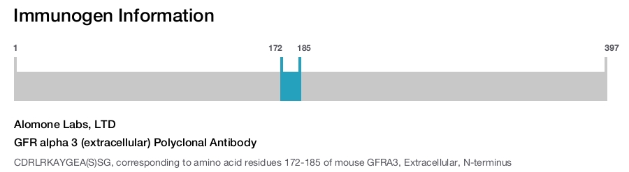 GFR alpha 3 (extracellular) Polyclonal Antibody