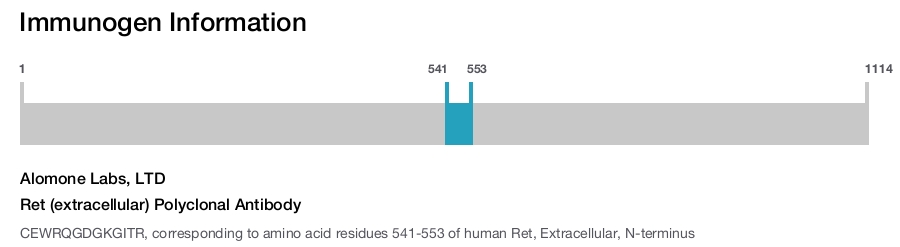 Ret (extracellular) Polyclonal Antibody