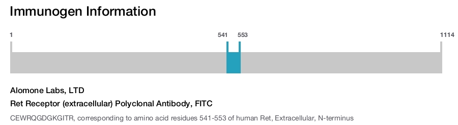 Ret Receptor (extracellular) Polyclonal Antibody, FITC