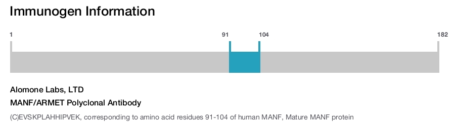 MANF/ARMET Polyclonal Antibody