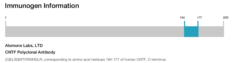 CNTF Polyclonal Antibody