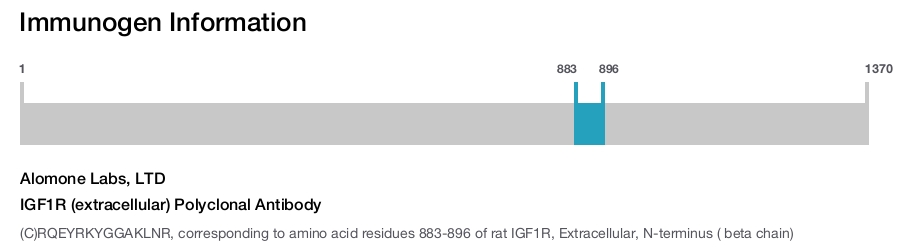 IGF1R (extracellular) Polyclonal Antibody