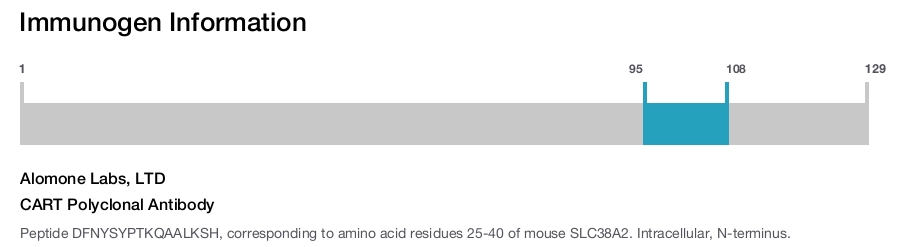 CART Polyclonal Antibody