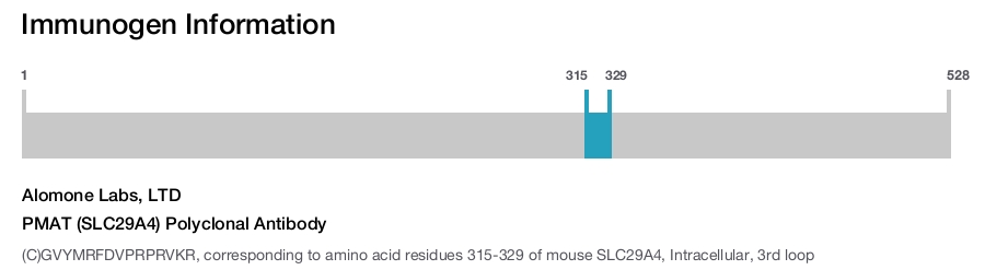 PMAT (SLC29A4) Polyclonal Antibody