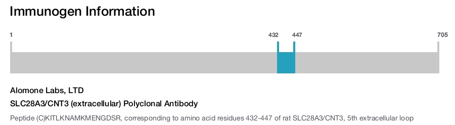SLC28A3/CNT3 (extracellular) Polyclonal Antibody