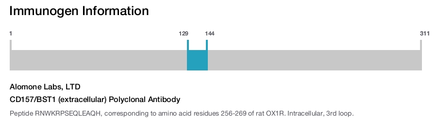CD157/BST1 (extracellular) Polyclonal Antibody