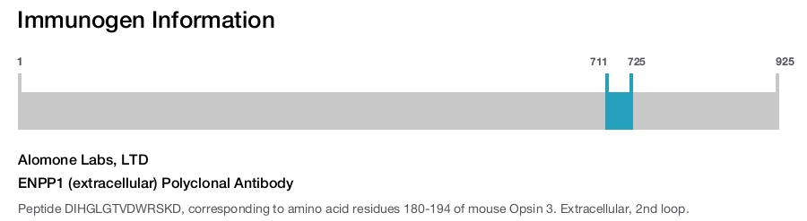 ENPP1 (extracellular) Polyclonal Antibody