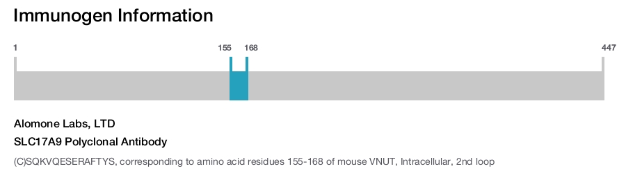 SLC17A9 Polyclonal Antibody