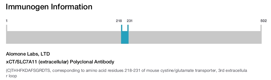 xCT/SLC7A11 (extracellular) Polyclonal Antibody