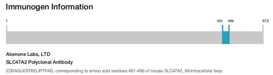 SLC47A2 Polyclonal Antibody