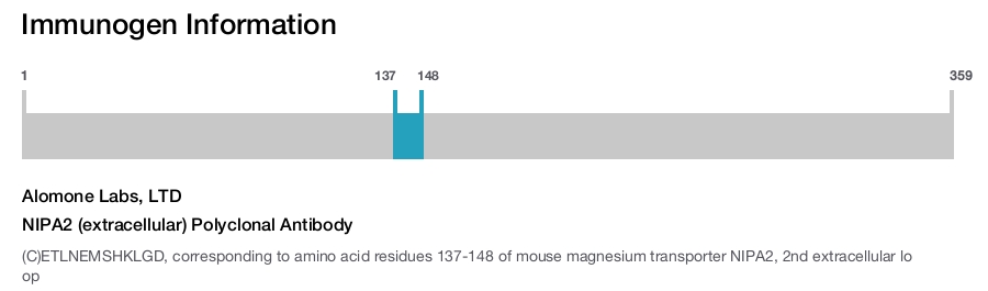 NIPA2 (extracellular) Polyclonal Antibody
