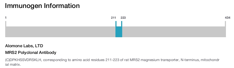 MRS2 Polyclonal Antibody