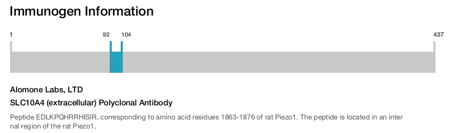 SLC10A4 (extracellular) Polyclonal Antibody