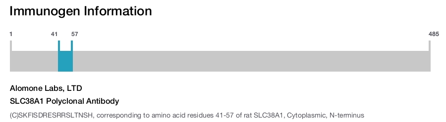 SLC38A1 Polyclonal Antibody