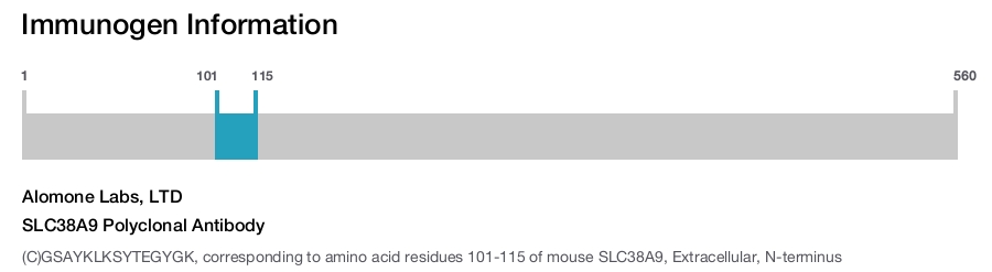 SLC38A9 Polyclonal Antibody