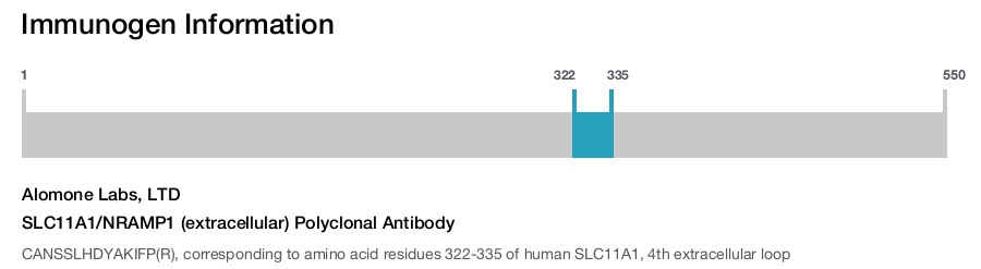 SLC11A1/NRAMP1 (extracellular) Polyclonal Antibody
