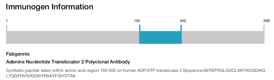 Adenine Nucleotide Translocator 2 Polyclonal Antibody